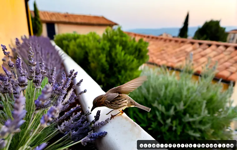 Fauna selvatica in città: benefici, rischi e criteri per gestirla negli spazi urbani 3 도시 환경에서의 야생동물의 역할과 중요성 관련 이미지 1
