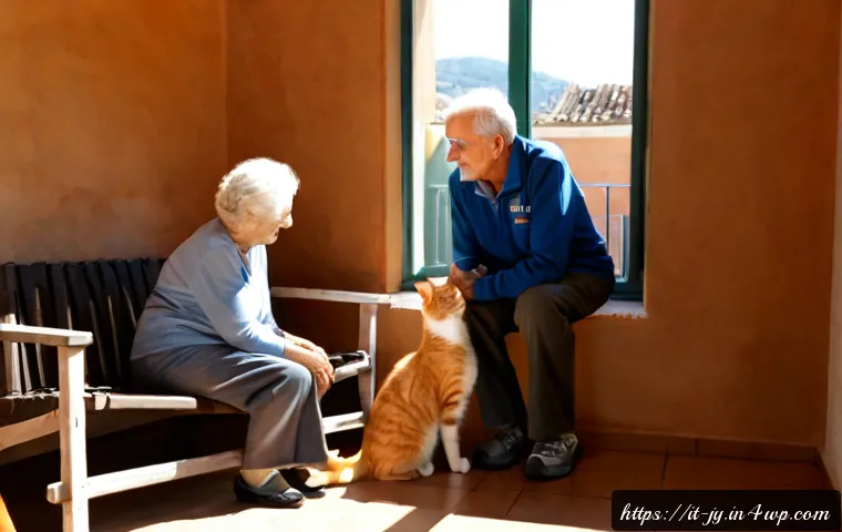 도시 내 동물 보호소 운영 사례 관련 이미지 1